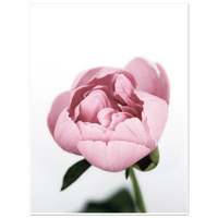 cf679ce4-3b51-4da7-9ee2-53c9fd76127e