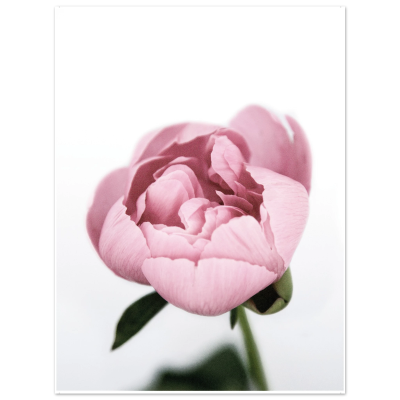 cf679ce4-3b51-4da7-9ee2-53c9fd76127e