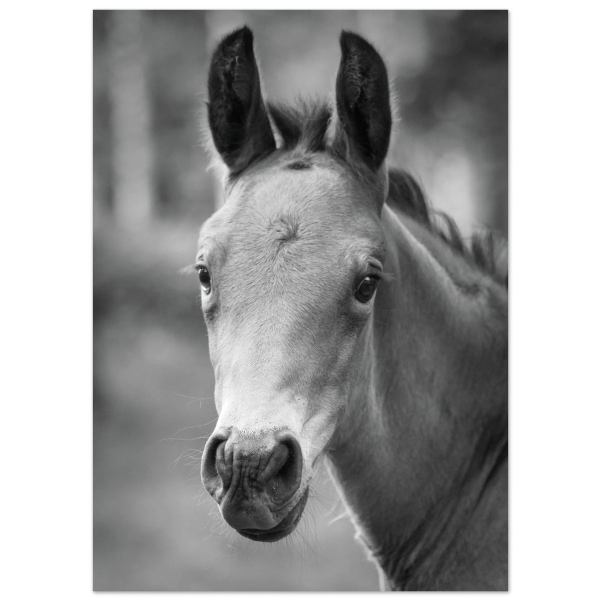 d067c0ea-dec4-4cba-94b8-b202177a620e