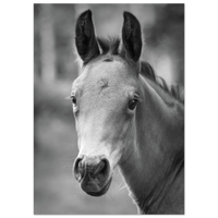 d067c0ea-dec4-4cba-94b8-b202177a620e