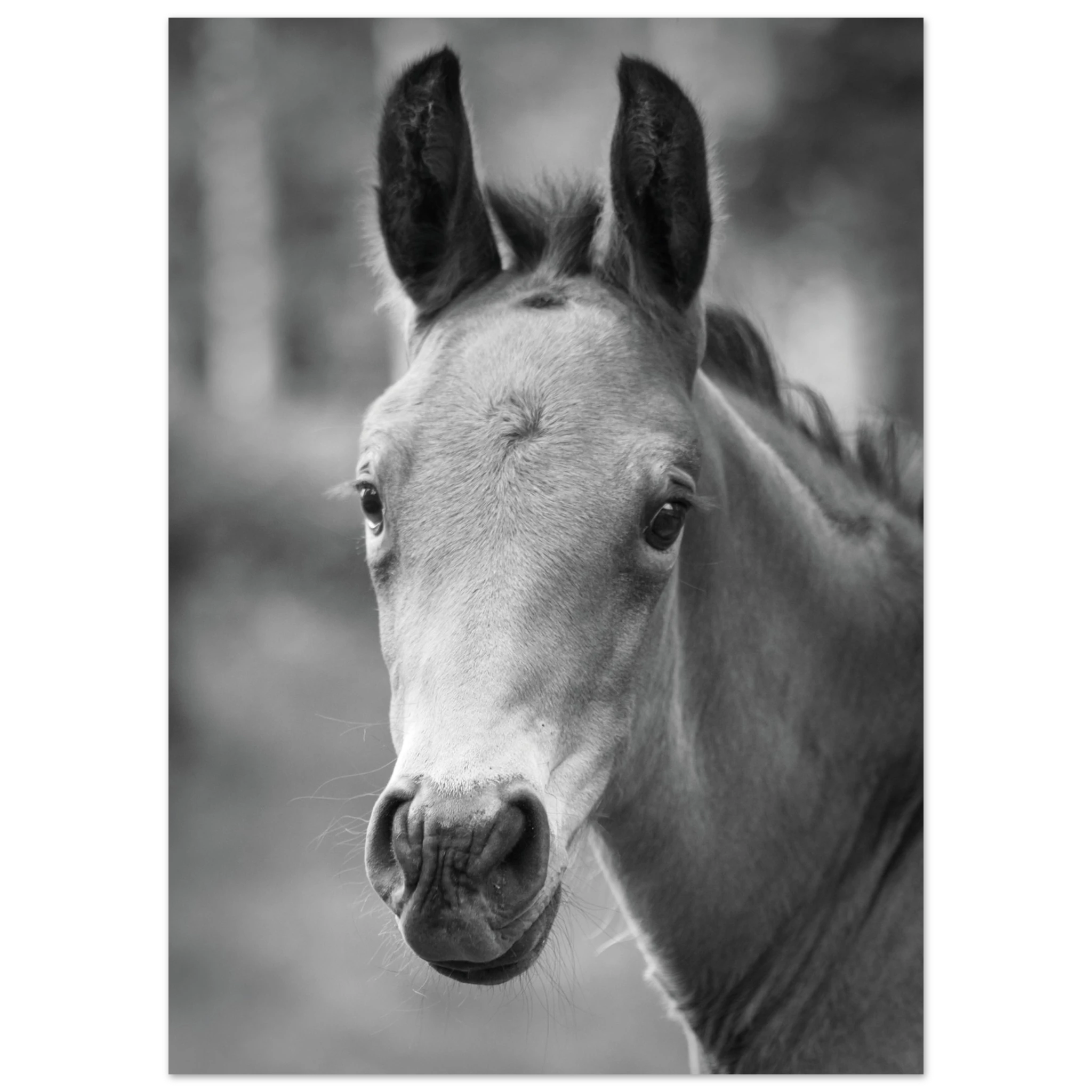 d067c0ea-dec4-4cba-94b8-b202177a620e