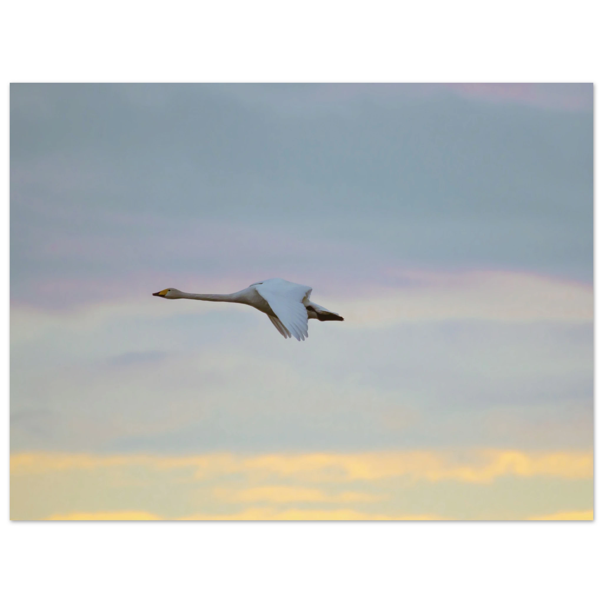 d0a50531-e568-41e8-a74b-f06caa65f49f