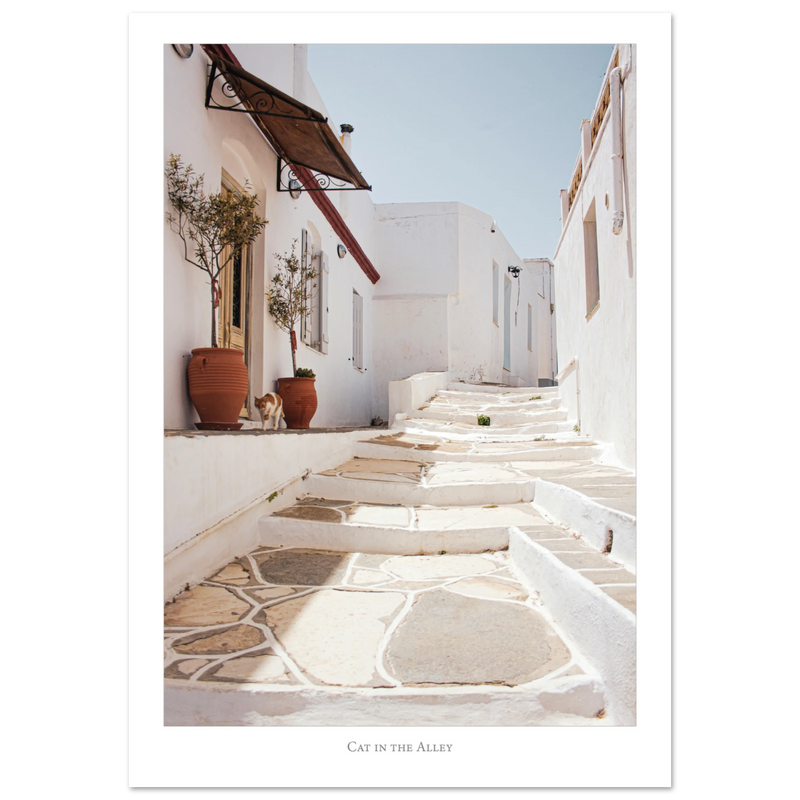 d0cdc873-74a0-4346-9097-11034ccb627a