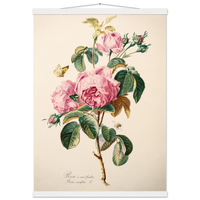 d135298a-e26a-430a-906b-527d754c07d8