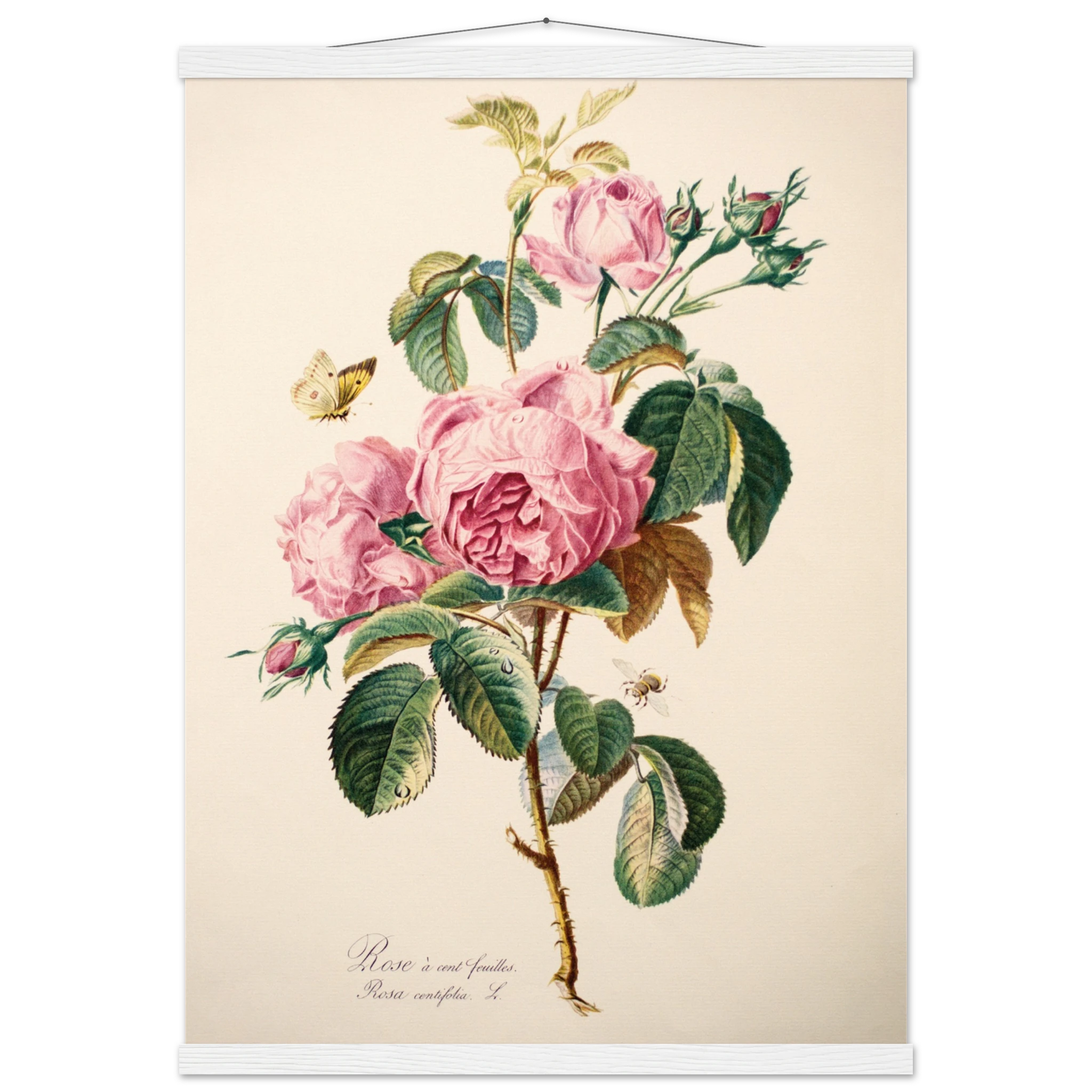 d135298a-e26a-430a-906b-527d754c07d8