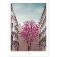 d1b3fe72-b6ef-456b-b15d-9307b5617543