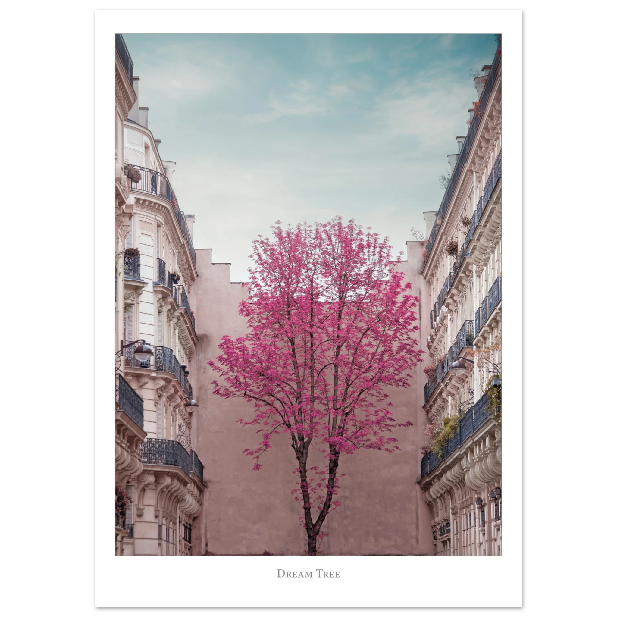 d1b3fe72-b6ef-456b-b15d-9307b5617543