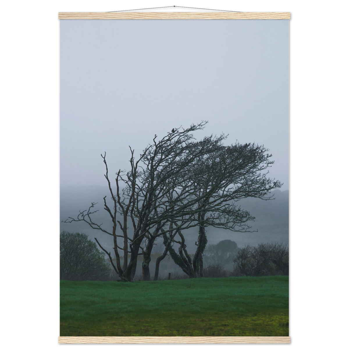 d236abf8-6322-443b-a6b8-4e0b954504f0