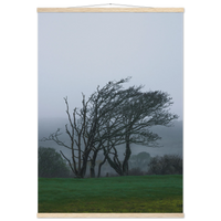 d236abf8-6322-443b-a6b8-4e0b954504f0