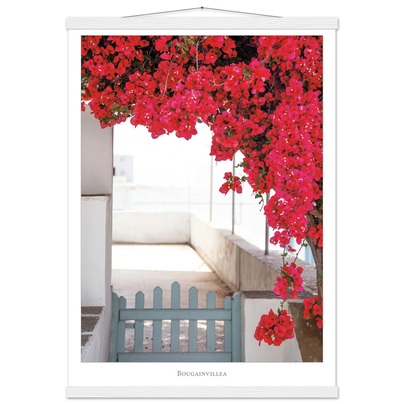 d4712fee-32cb-4c88-9961-7fb7fa38c132