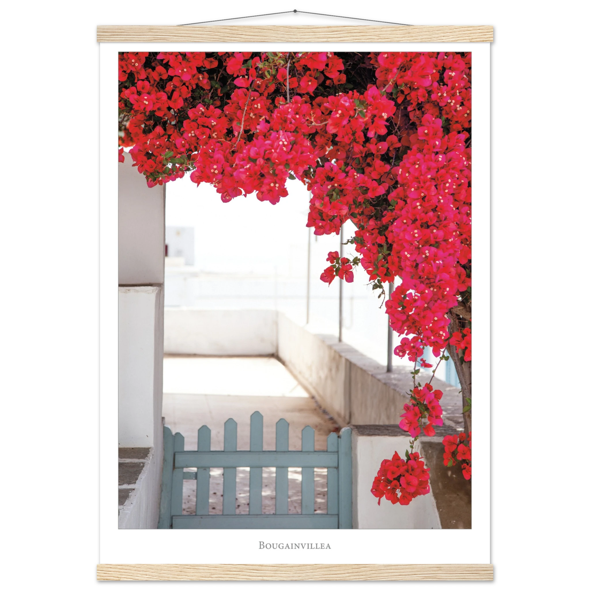 d5778353-2940-48bb-94f5-447d57c96a04