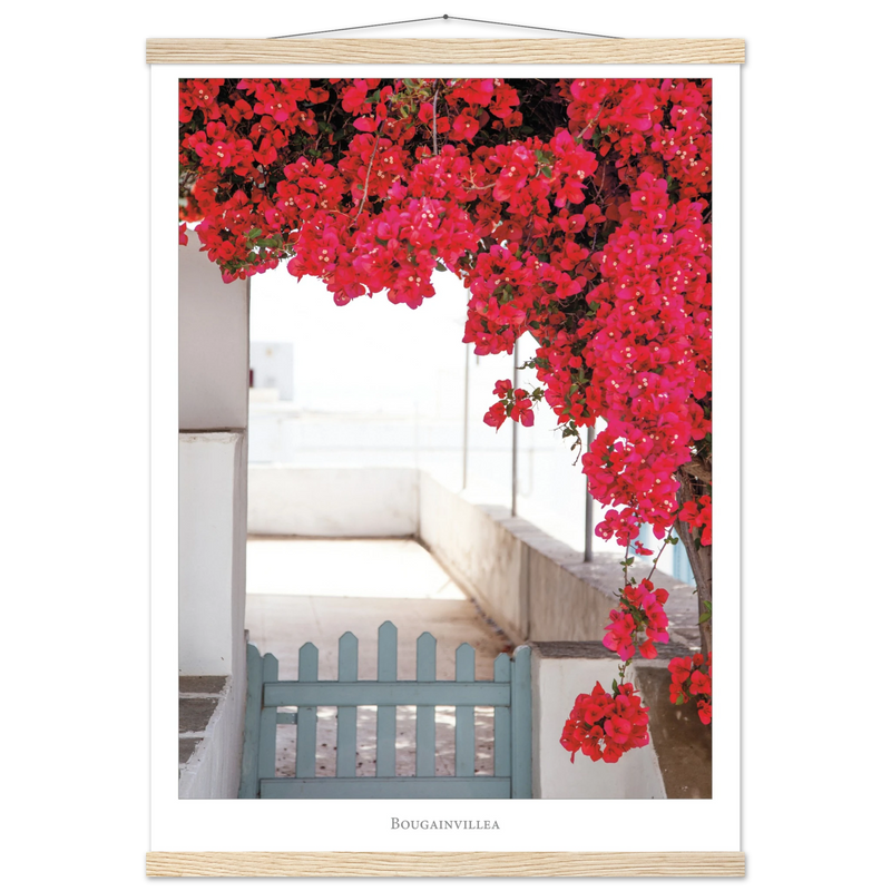 d5778353-2940-48bb-94f5-447d57c96a04