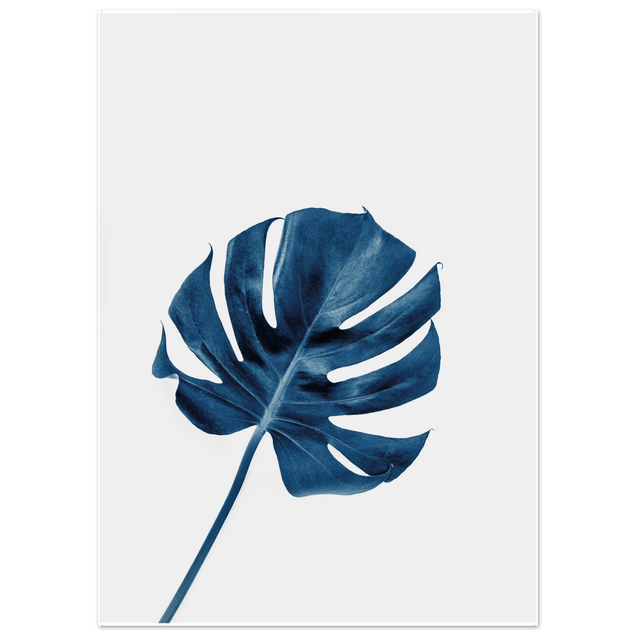 d5b02591-67c6-475b-812d-9ce1f1a2267a