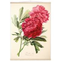 d5fbb2c6-e672-41d3-823a-fde5d55da020