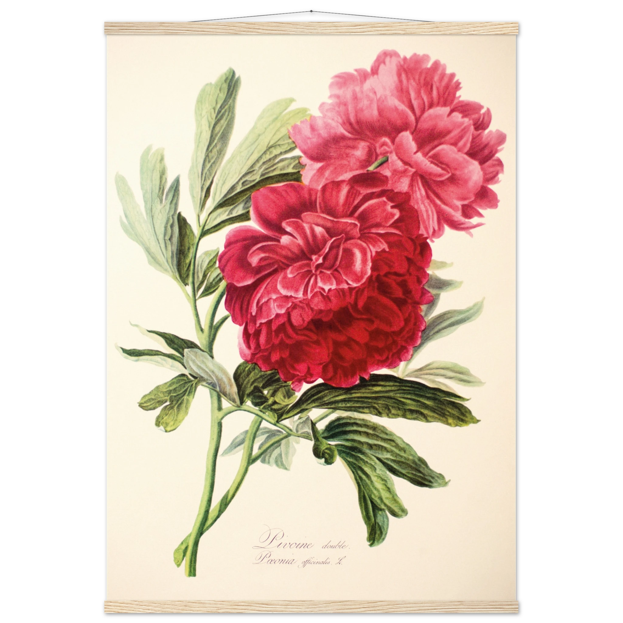 d5fbb2c6-e672-41d3-823a-fde5d55da020