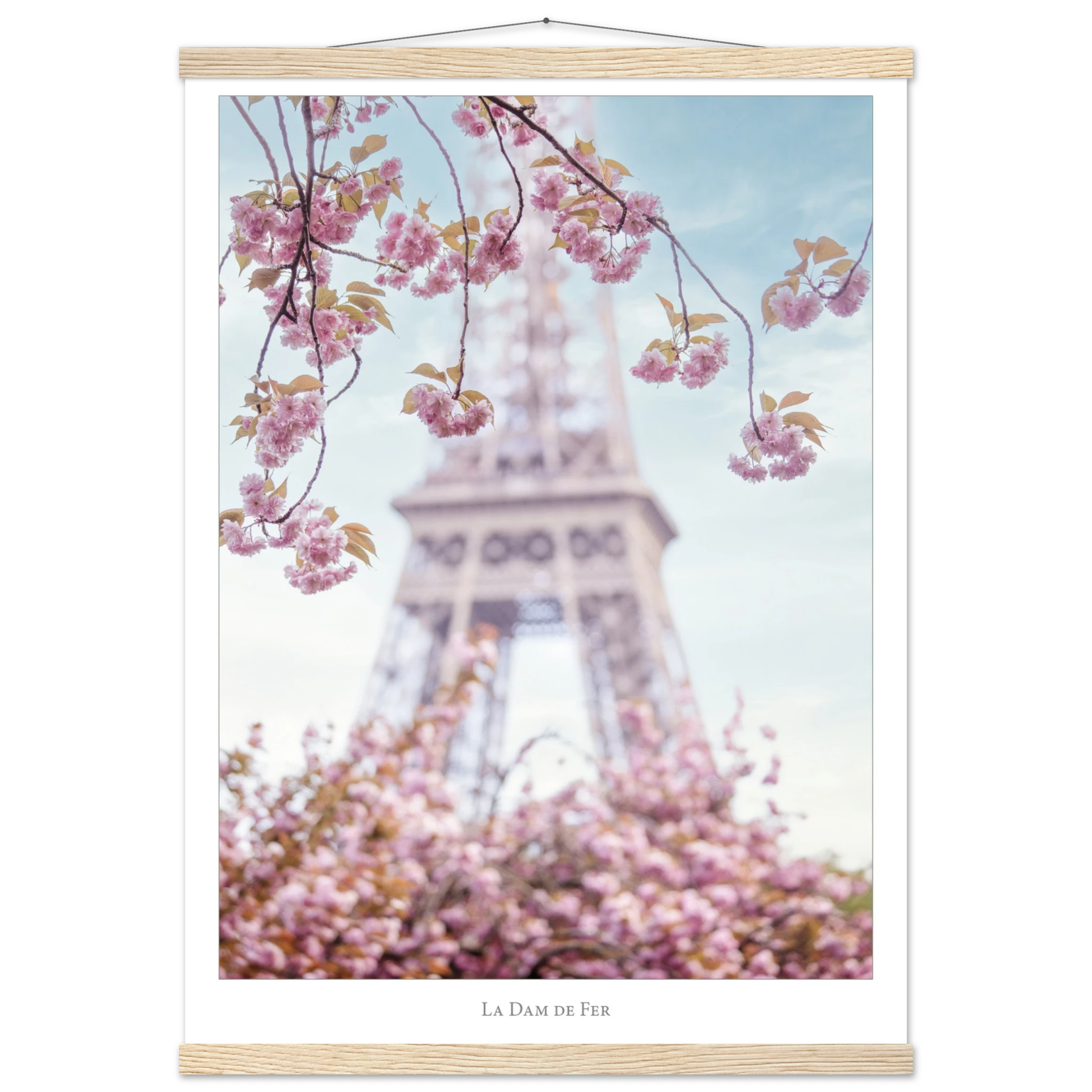 d65a7b28-cc27-43eb-bbda-7fc02d7b507f