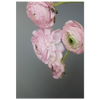 d666148e-ee01-4ae1-aad6-86c4039ea385