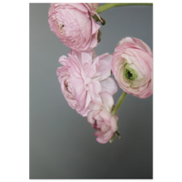 d666148e-ee01-4ae1-aad6-86c4039ea385