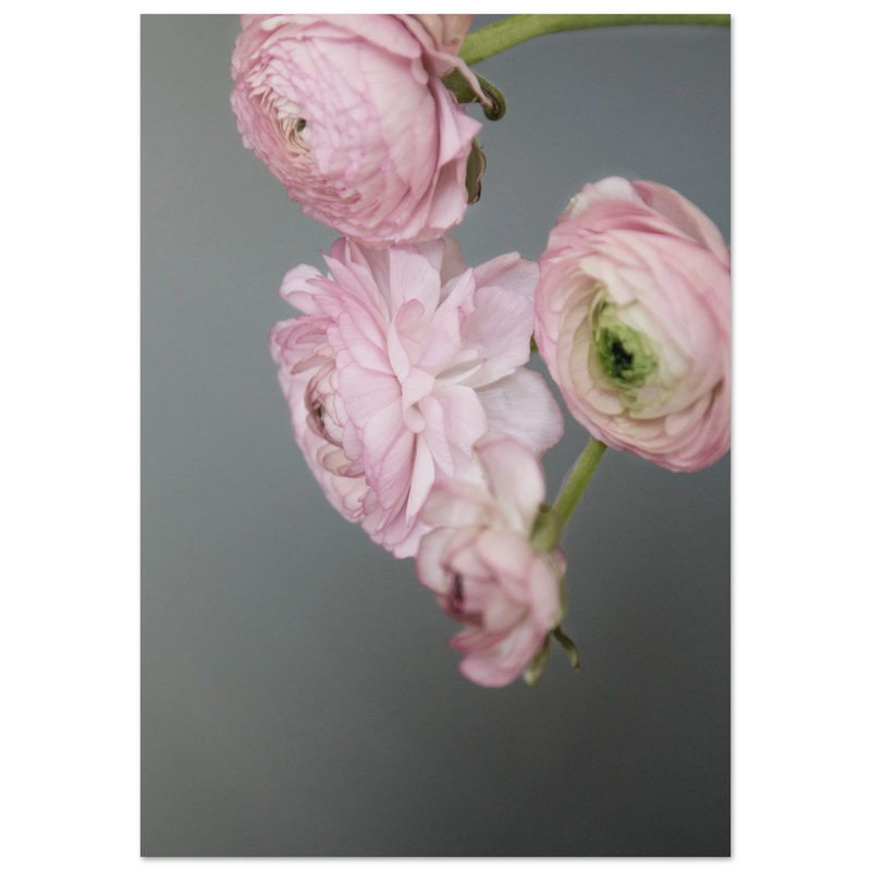 d666148e-ee01-4ae1-aad6-86c4039ea385