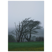 d6c1e97b-2a3c-430c-ba44-6d88727ec69b