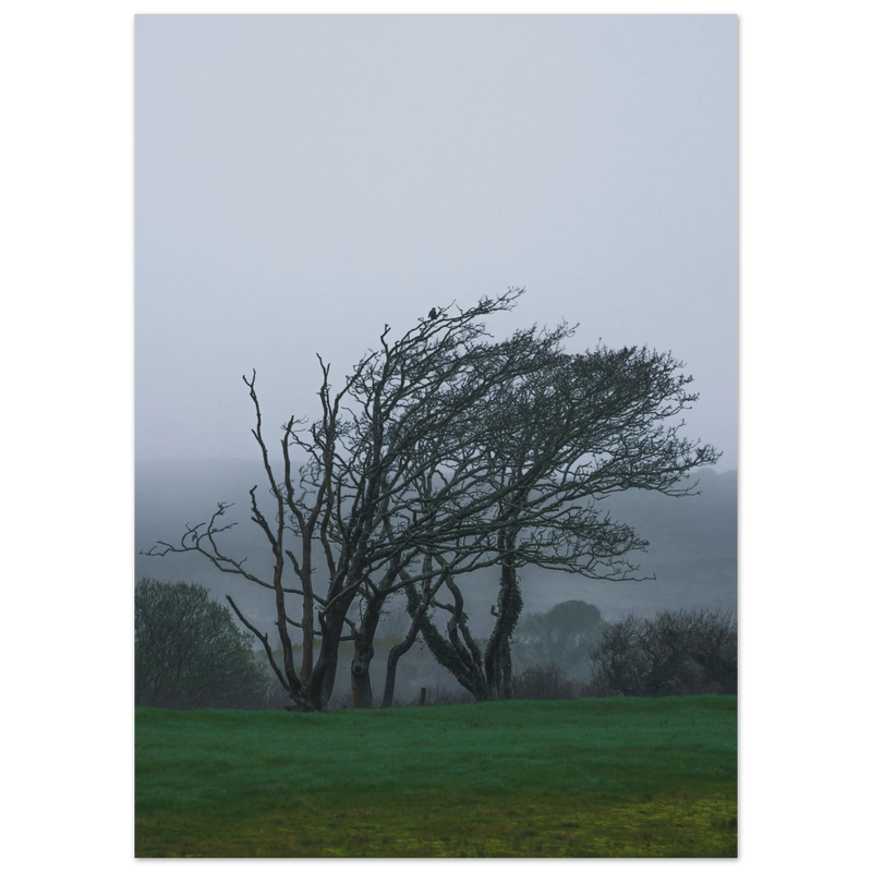 d6c1e97b-2a3c-430c-ba44-6d88727ec69b