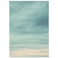 d7021c91-e557-449c-9e81-f3e6f04e5b29