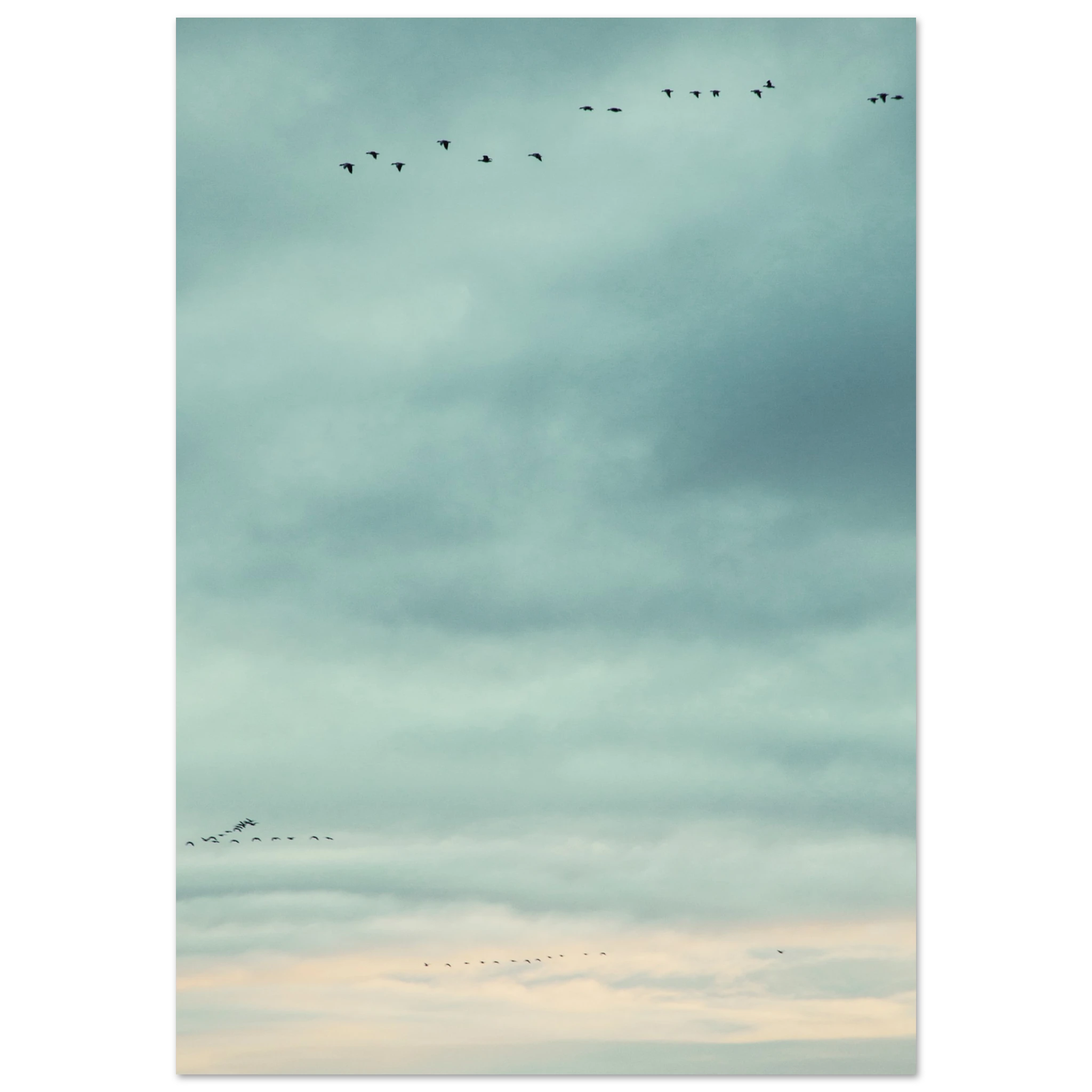 d7021c91-e557-449c-9e81-f3e6f04e5b29