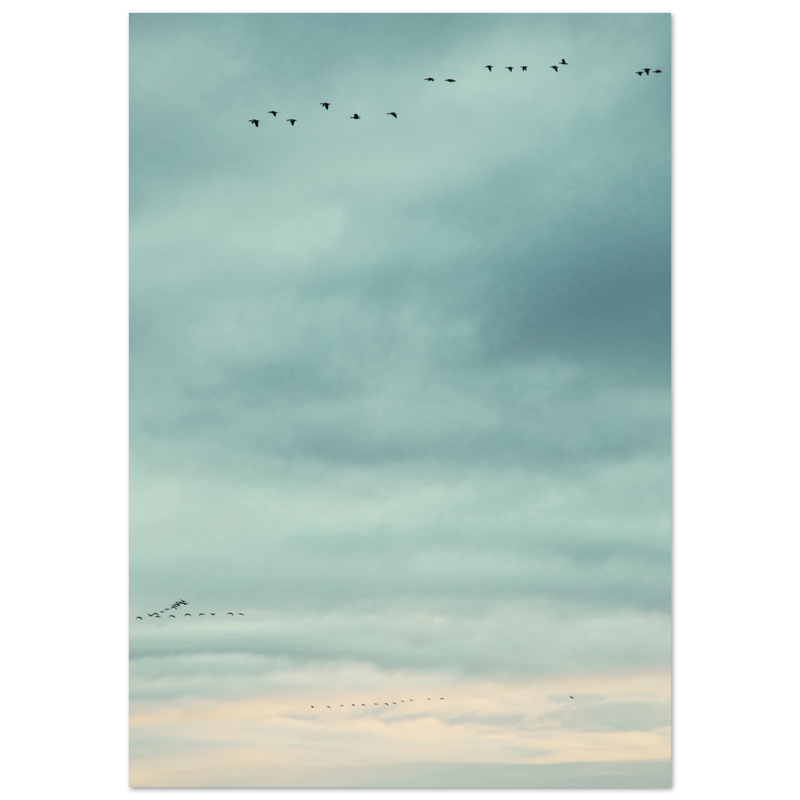 d7021c91-e557-449c-9e81-f3e6f04e5b29