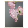 d77b12c8-72ff-46e1-b87d-ab661e806bcb