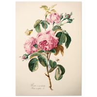 d7d278d6-800a-41c1-a08e-cbfc3ea110e0