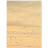d905c11d-2a1e-475e-9ab4-cceb7cc9848e