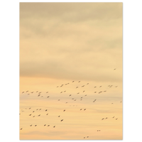 d905c11d-2a1e-475e-9ab4-cceb7cc9848e