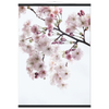 d97fa677-50d9-4ce4-9f51-b377f3487dff