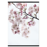 d97fa677-50d9-4ce4-9f51-b377f3487dff