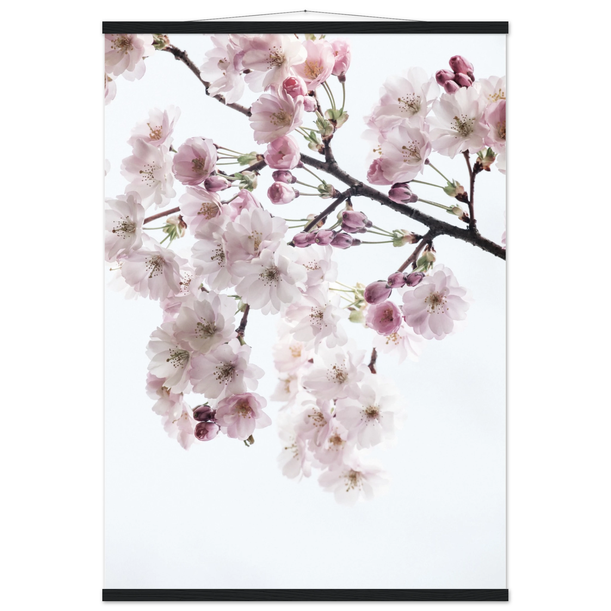 d97fa677-50d9-4ce4-9f51-b377f3487dff