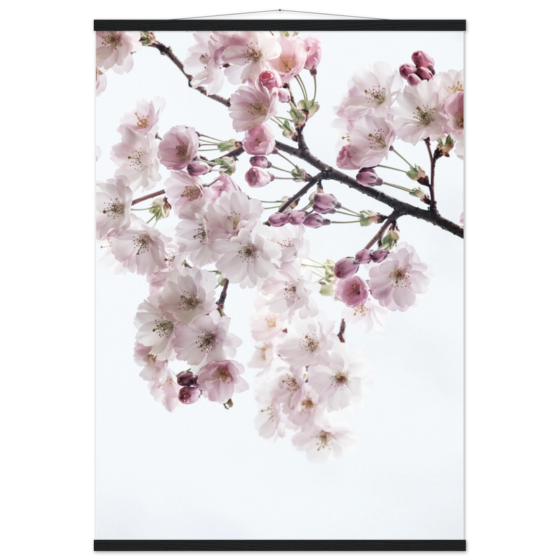 d97fa677-50d9-4ce4-9f51-b377f3487dff