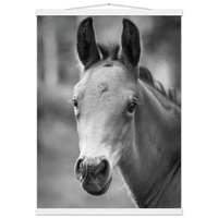 d99fed31-a41e-49e4-9749-5a7eb750829b