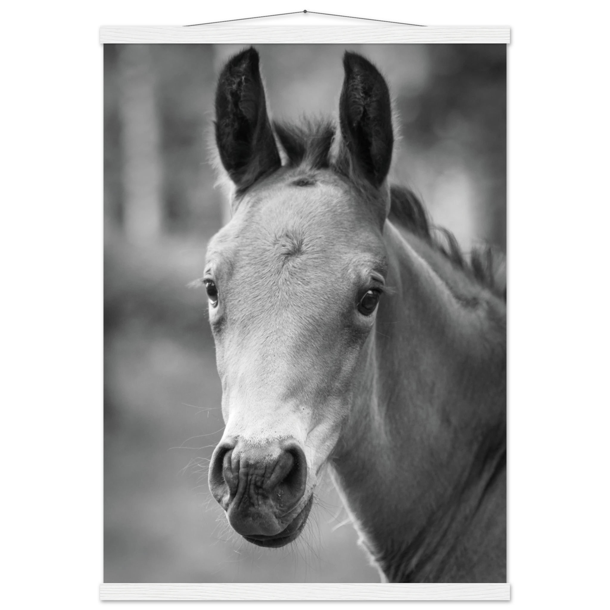 d99fed31-a41e-49e4-9749-5a7eb750829b