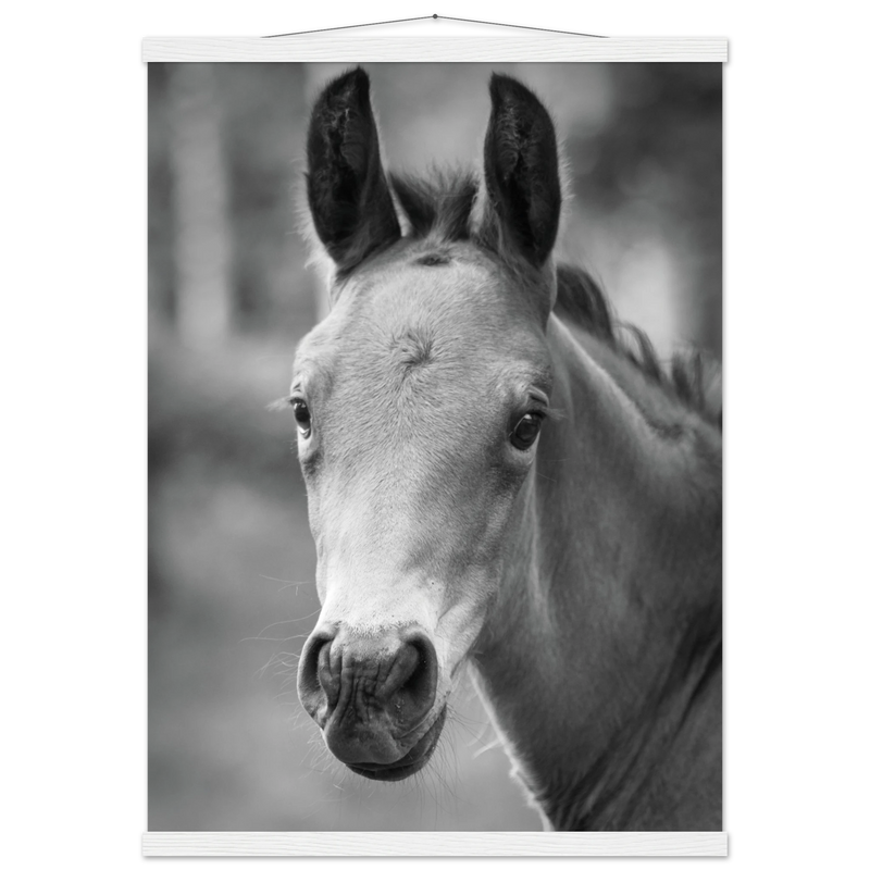 d99fed31-a41e-49e4-9749-5a7eb750829b