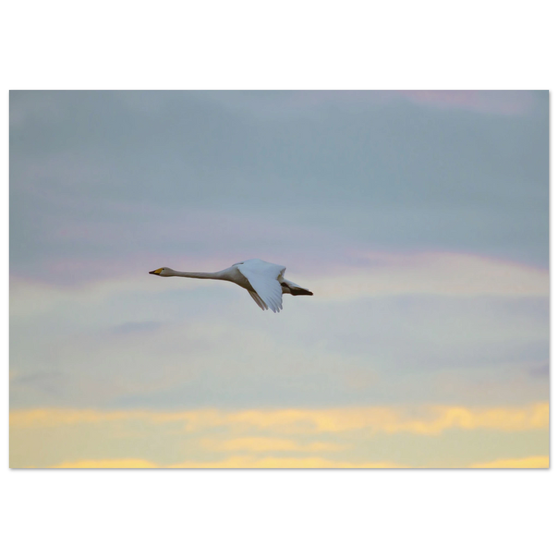 d9b973c3-2431-47d0-96d3-e2afcd0899b0