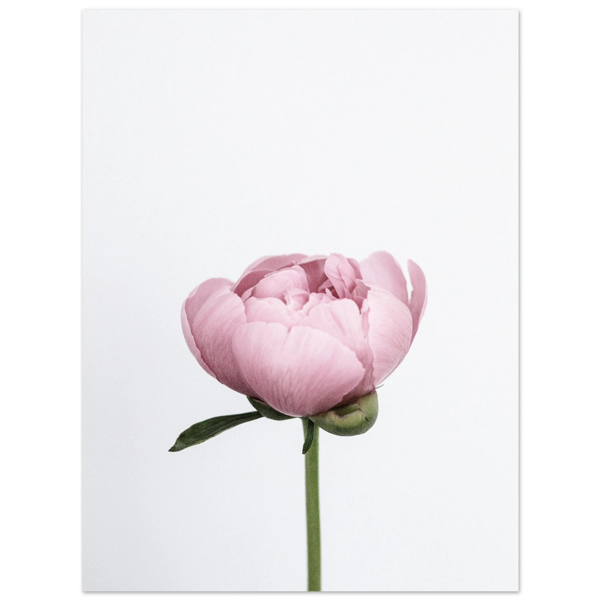 d9eeeb2d-09e9-497f-8a81-0ee4789b7b76