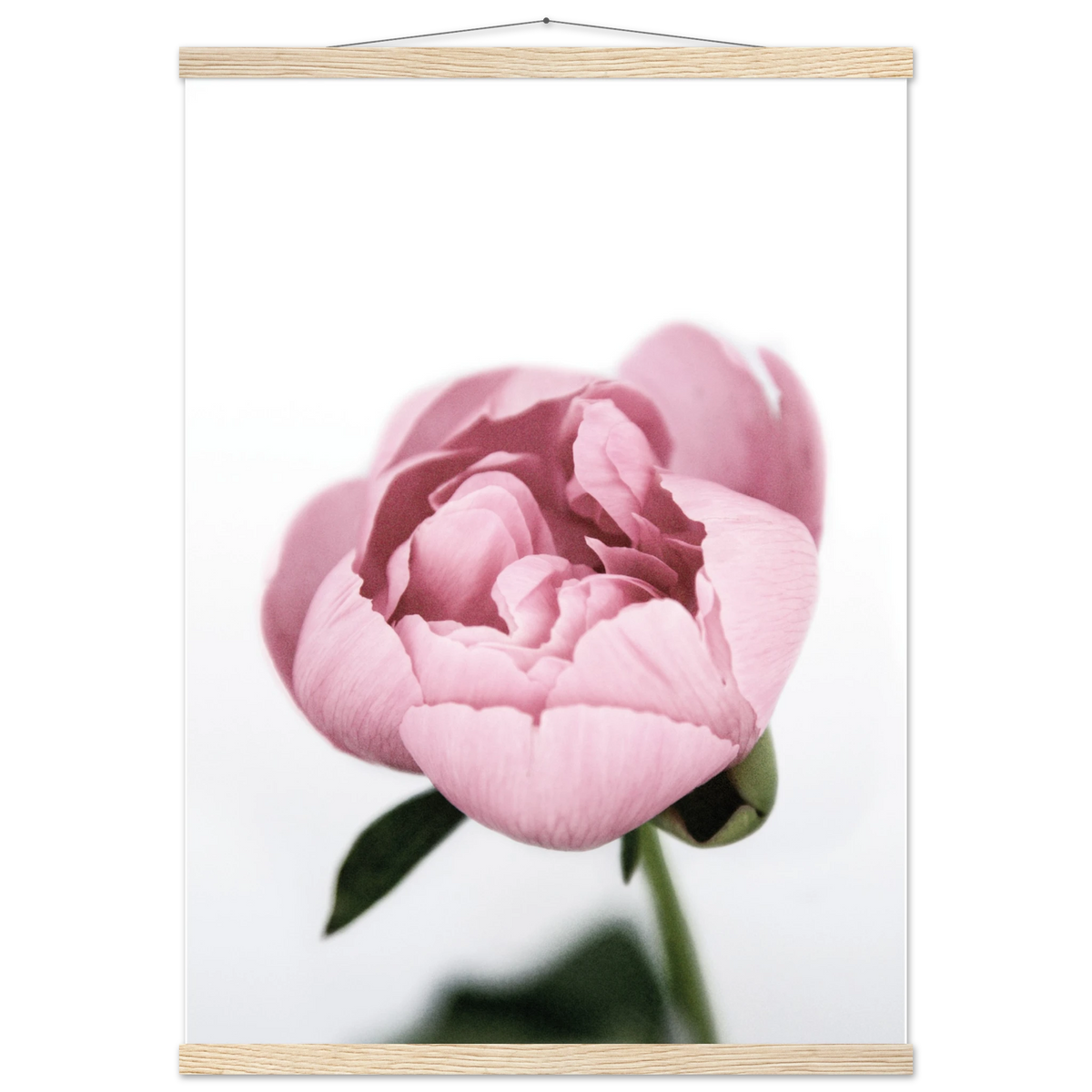 dbaf2984-ae77-43ca-9f2f-c9147c4b240f