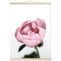 dbaf2984-ae77-43ca-9f2f-c9147c4b240f