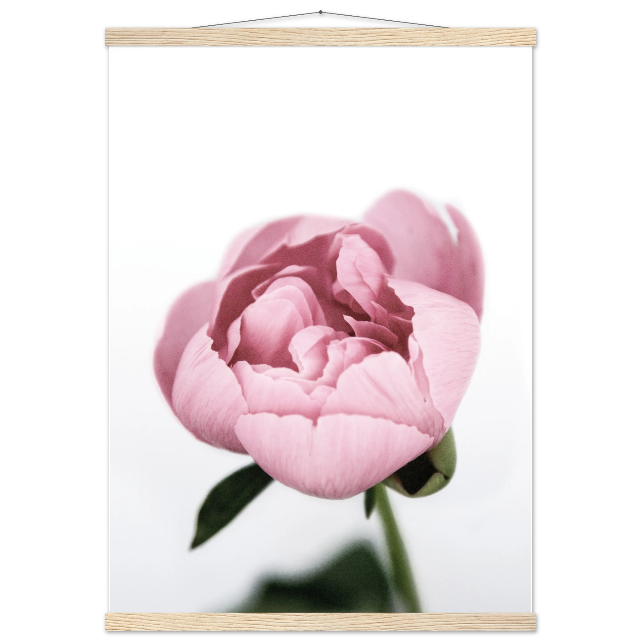 dbaf2984-ae77-43ca-9f2f-c9147c4b240f