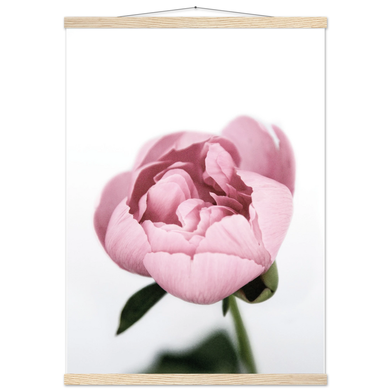 dbaf2984-ae77-43ca-9f2f-c9147c4b240f