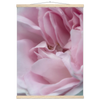 dc017afb-e005-4ab9-ba2d-82897165d1e5