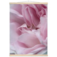 dc017afb-e005-4ab9-ba2d-82897165d1e5