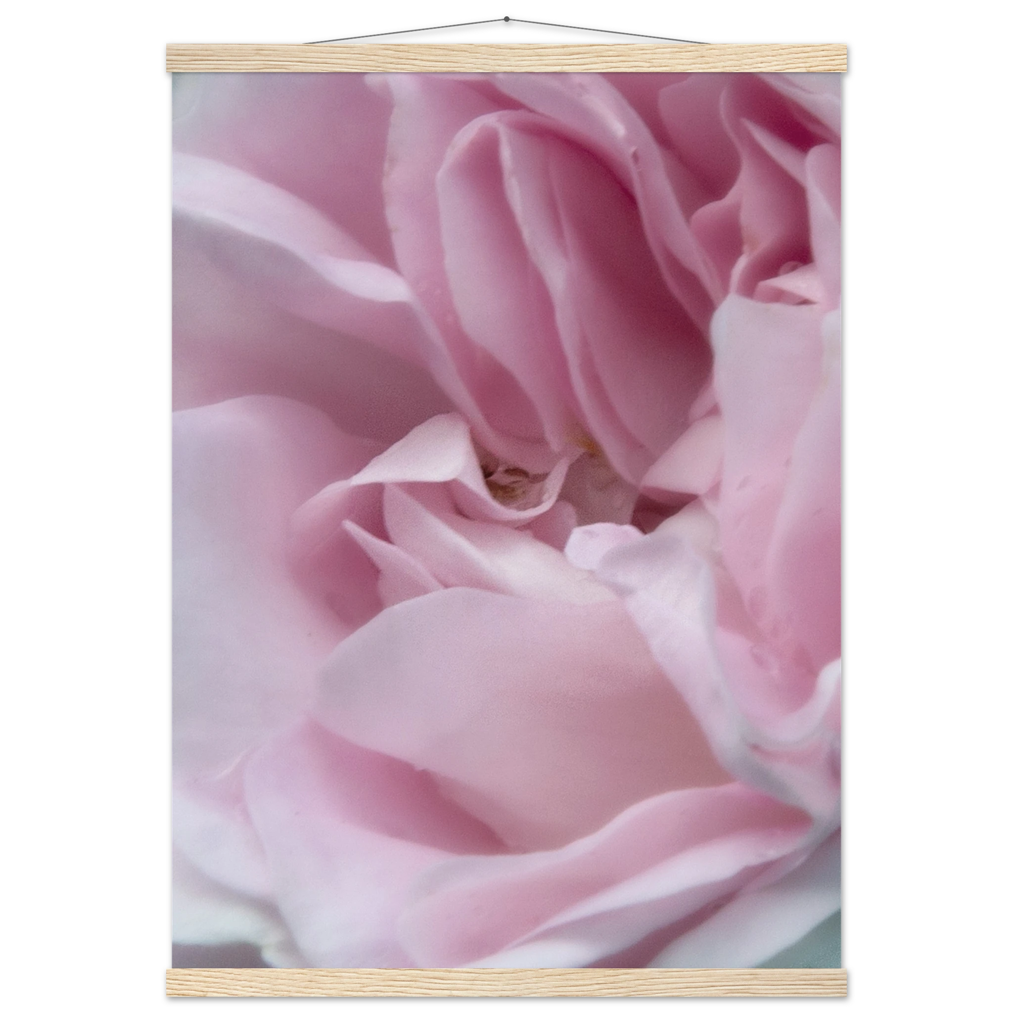 dc017afb-e005-4ab9-ba2d-82897165d1e5