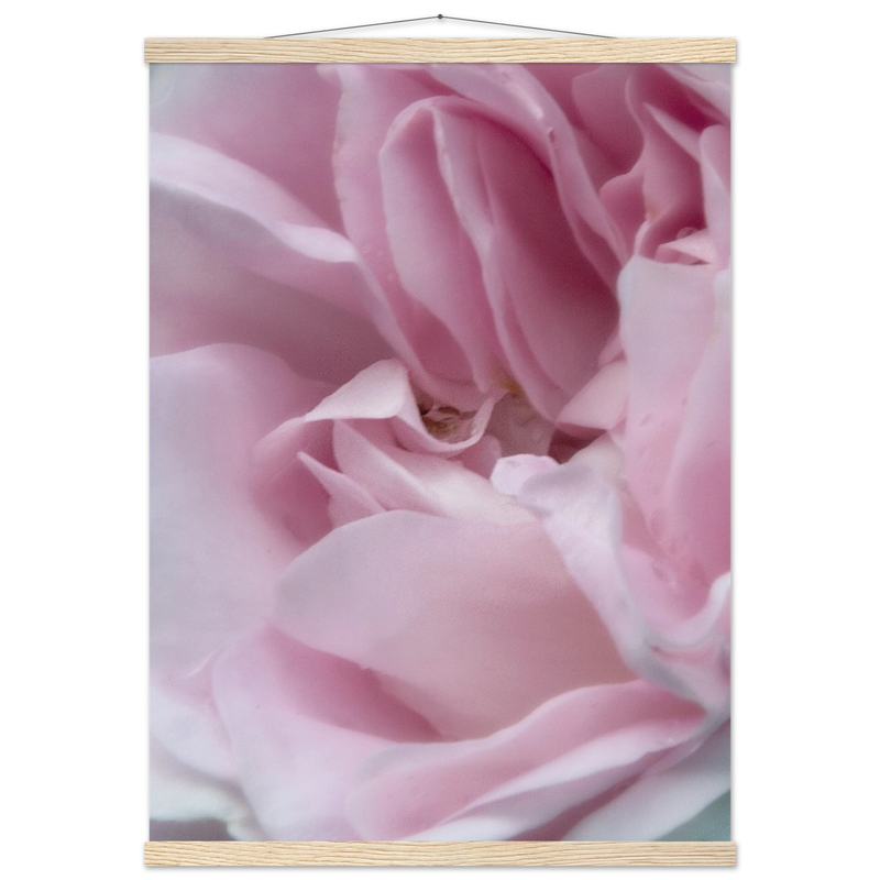 dc017afb-e005-4ab9-ba2d-82897165d1e5
