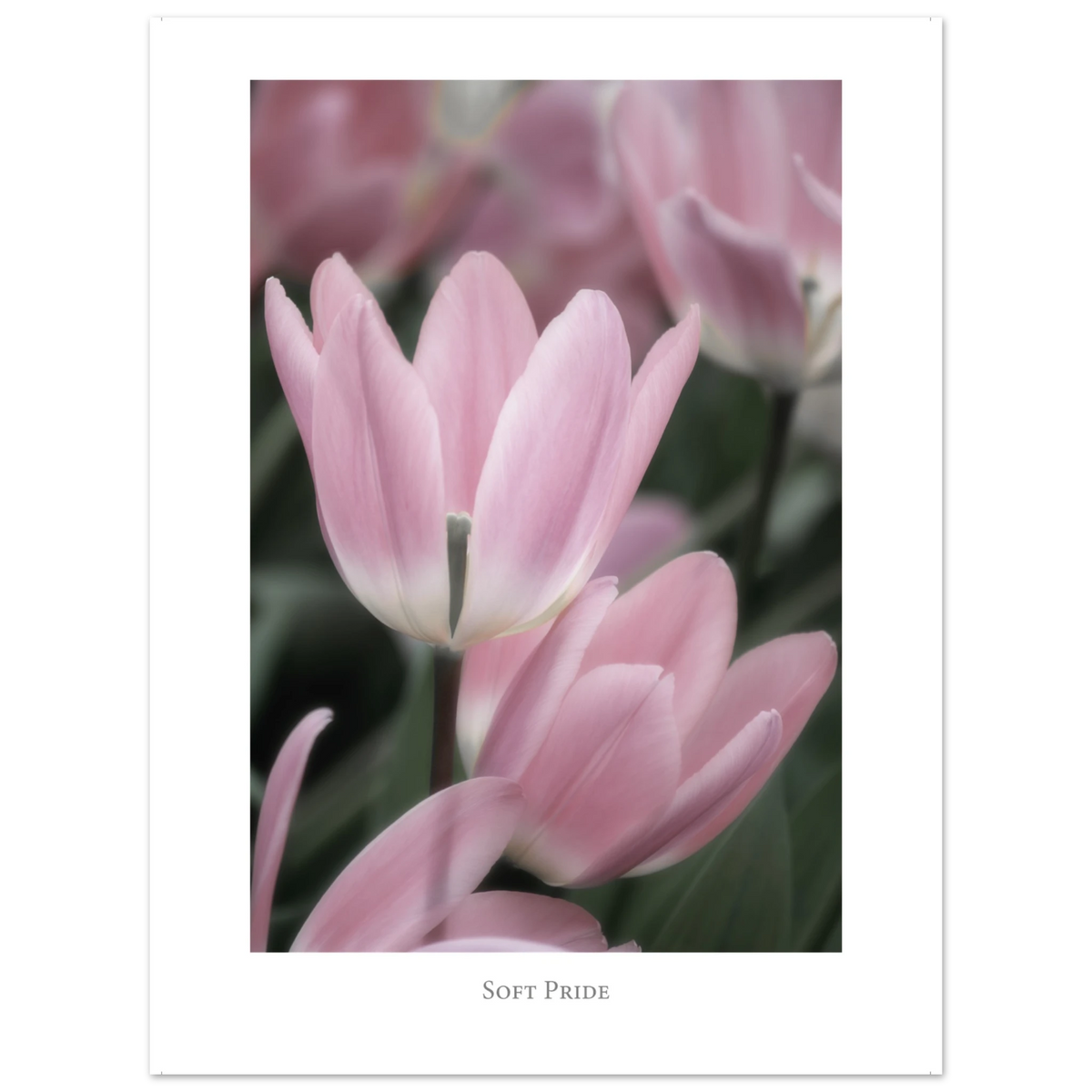 ddb6096d-aac1-4791-ad68-527d69aa4119